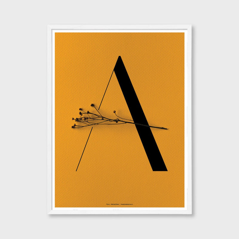 the alphabet store art print